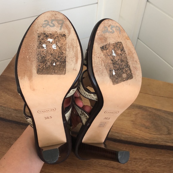 Stunning snakeskin print Tamarah heeled sandal with turn locks. - Picture 16 of 17